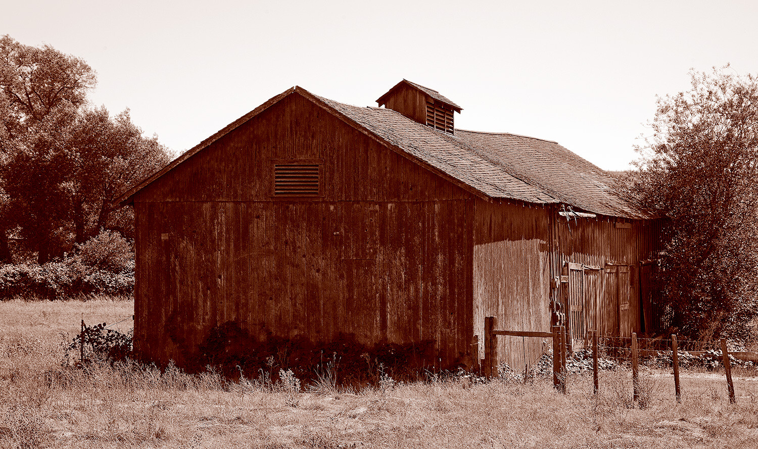Old-Petaluma-Barn-(sepia)